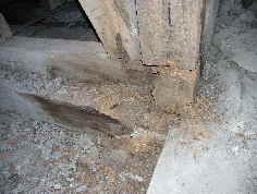kl_PICT0013